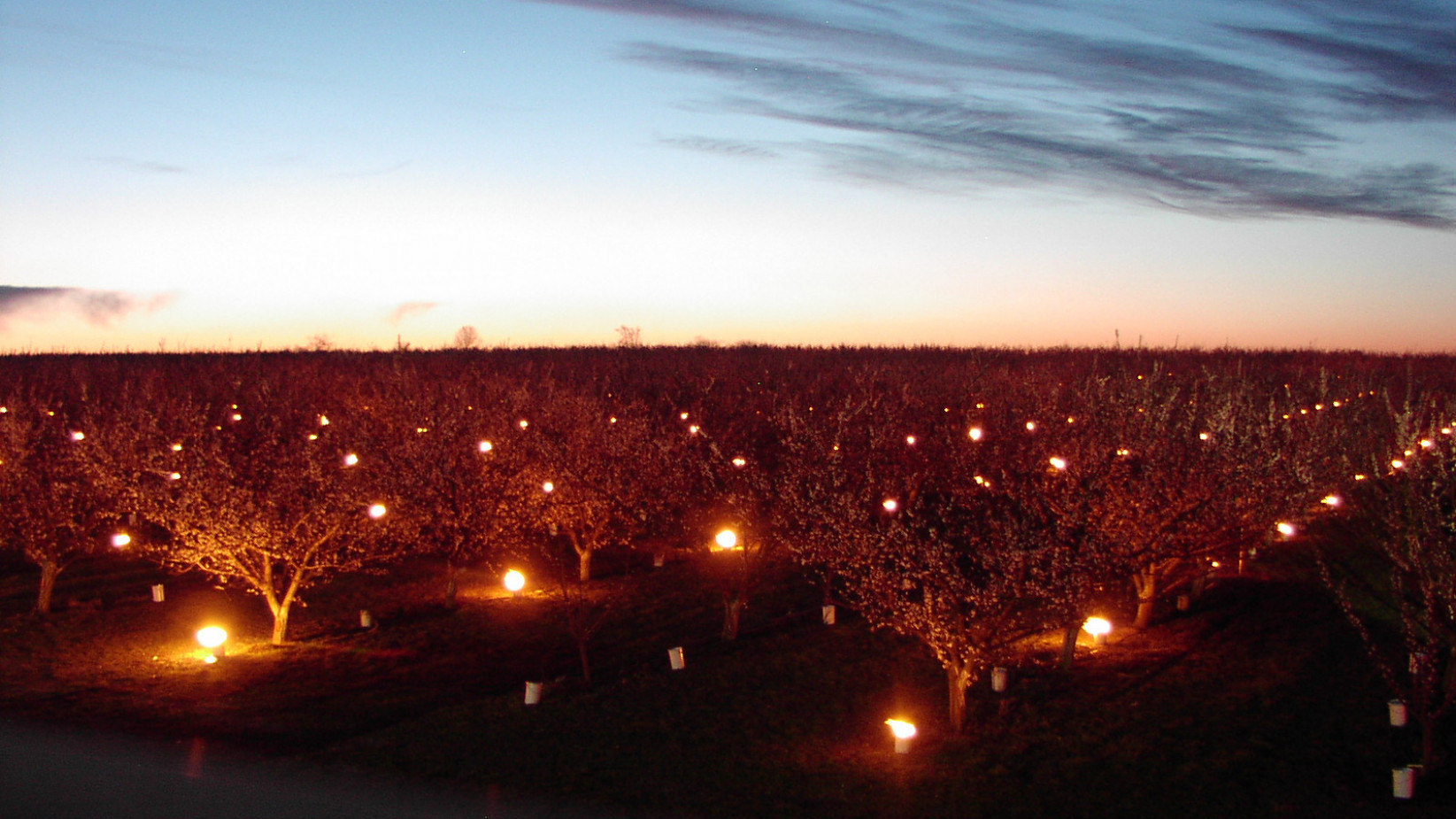 Your Anti-Frost Candle Fight Against the Frost